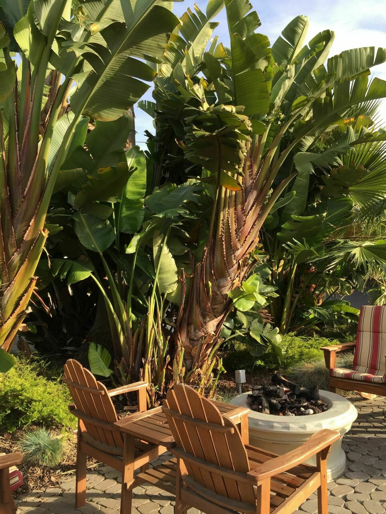 Beach Bungalow Inn And Suites Моро Бей Екстериор снимка